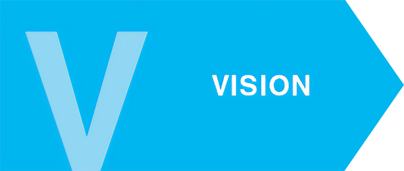 VISION